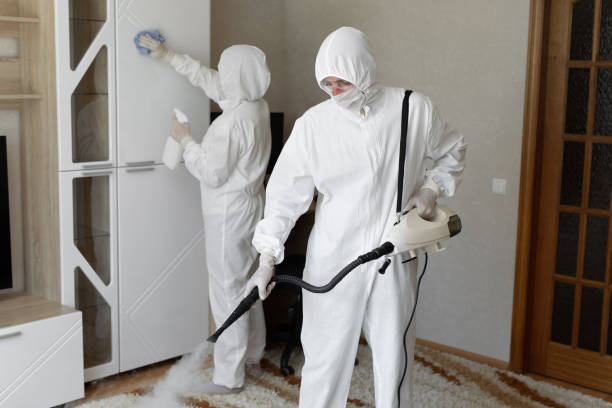 Reliable Fredericksburg, IA Mold Remediation Solutions